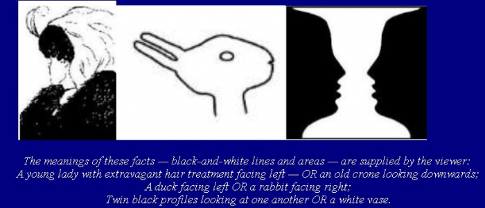 1573684860888.png