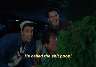 20250406_001308.gif