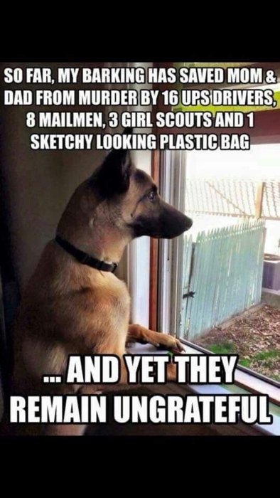 FB_IMG_1579973465625.jpg