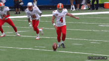 IMG_20201027_174608.gif