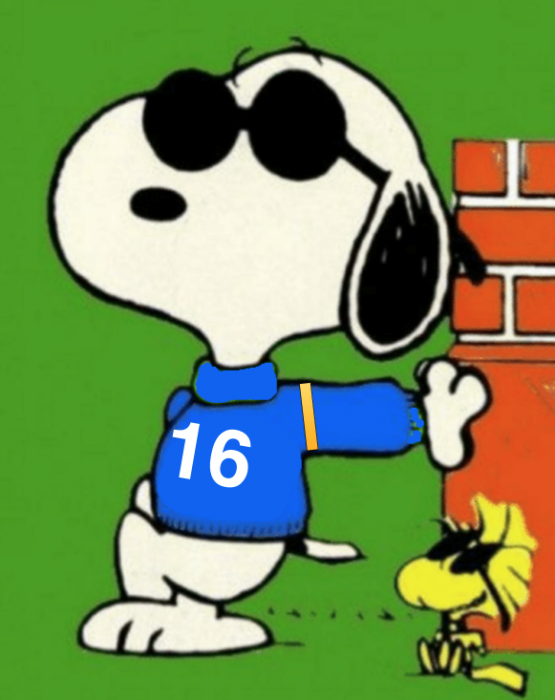 joe cool goff.png